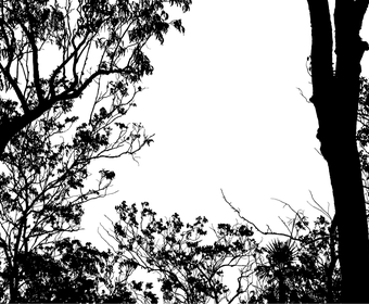 EUM Genossenschaft