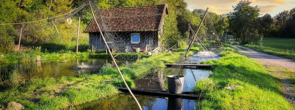 Fischzucht Schiefer