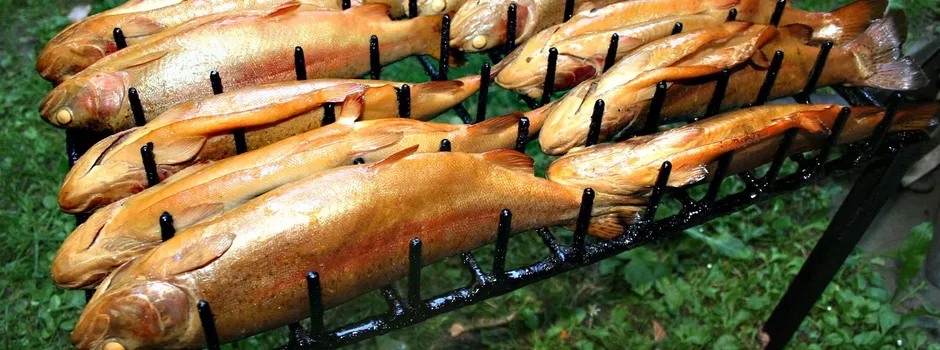 Fischzucht Schiefer