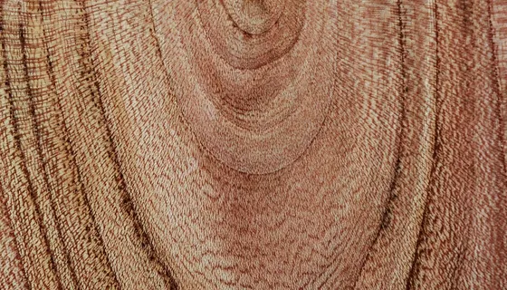 Tischlerei Wendl we work wood
