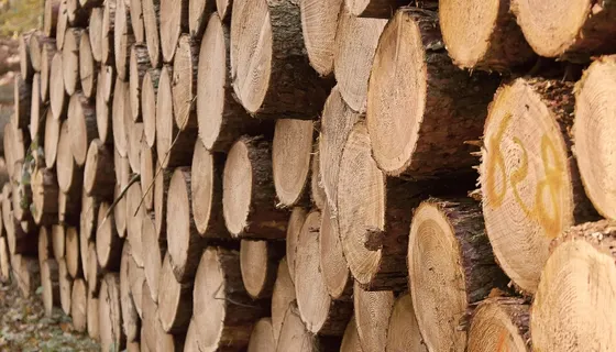 Tischlerei Wendl we work wood